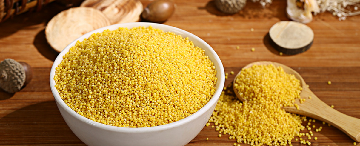 1637638315584484.png 文章內容配圖尺寸.png